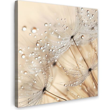 TABLEAU SUR TOILE Pissenlit - Abstrait - Nature - Beige Tableau Chambre Adulte 90x90 cm