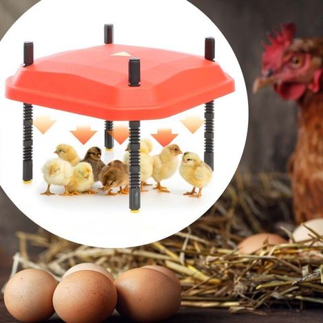 Panneau Chauffant Poussins 40X40. 42W. Plaque Chauffante 45 Poussins environ (1/5)