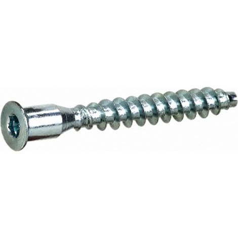 Etagenverbindungsschrauben HC4, Inbus 6-kant L50xD10xD6 3mm, 24 Stück.