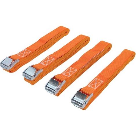 Zurrgurt 200 kg - 3,6 m x 25 mm - 4 Stück ARAT9-4 RI8819 - Zurrgurt 200 kg - 3,6 m x 25 mm - 4 Stück ARAT9-4 RI8819 (1/5)