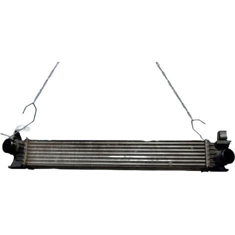 Echangeur Air PEUGEOT Boxer [PRODUIT D'OCCASION]♻️1617322580 (1/3)