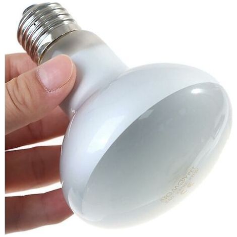 60W UVA heating bulb for terrarium – UVB and UVA lighting – Temperature control – Length 110mm, diameter 80mm (1/5)