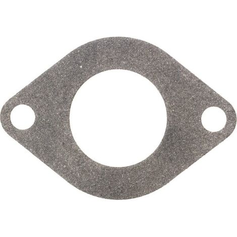 Junta Briggs y Stratton - 590396