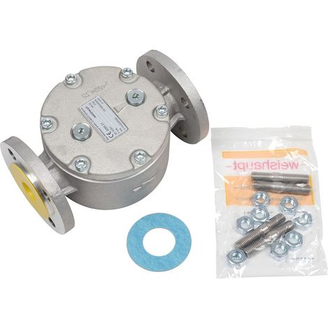 Filter Set DN25 WF3025/1 für Allgas Pb 5 bar - 15133026242 von Weishaupt