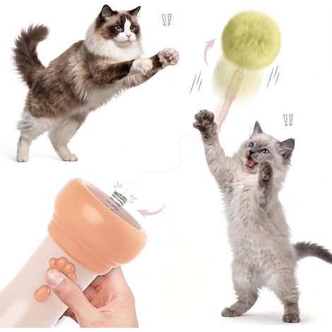 Jouet pour Chat Électrique, Canne À Pêche Interactive avec Corde Télescopique Et Lanceur Balle, Jouets pour Chats D'Intérieur Anti-Ennui, Jouet Chat Silencieux À Vitesse Variable, ABS (1/5)