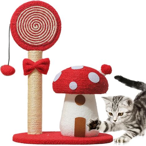 descalade de Chats de Champignons Chat grattant Les (1/5)