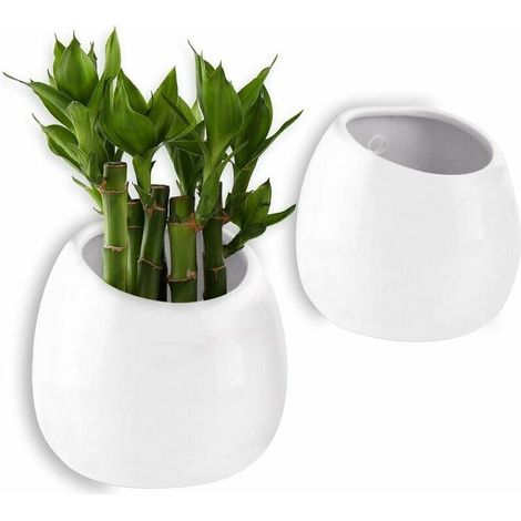 Dontodent Wall Mounted Plant Pot White 10cm Ceramic Set of 2, Wall Decor Decoration for Living Room Home Garden Evening Party Christmas and Ideal Creative Gift Decor (1/5)