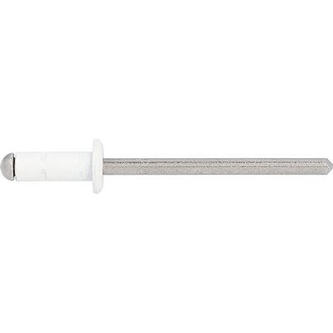 Rivet aveugle PolyGrip alu/Nirosta Ø 4x10, RAL 9010 blanc pure (1/4)