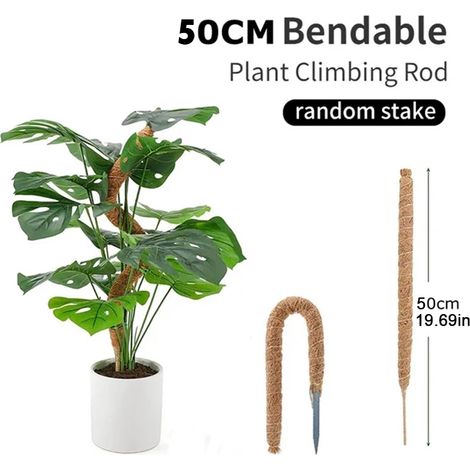 Support déformable pour plantes - Accessoires de jardin - Décoration extérieure - Support intérieur - Main courante - Maison (1/5)