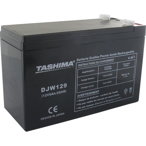 Batteria 12v 9a CASTELGARDEN - GGP 118120010/0