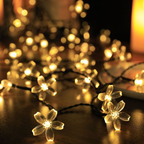 Guirlande lumineuse Sakura LED solaire étanche pour extérieur jardin blanc chaud 5 mètres 20 ampoules (1/5)