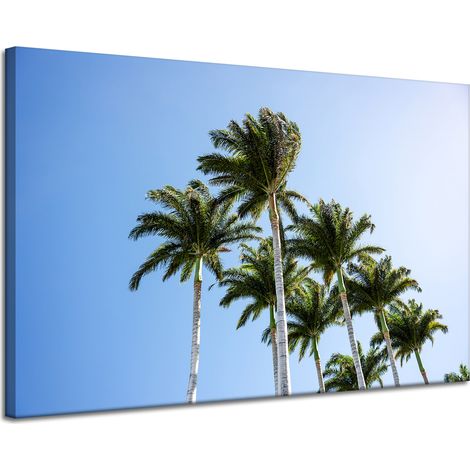 Lienzo impreso Naturaleza Palmeras 120x80 cm