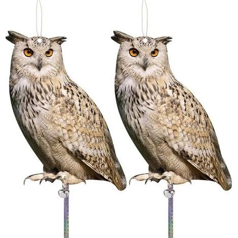 Lot de 2 chouettes en acrylique à suspendre, avec ruban réfléchissant, pour balcon, maison, fenêtres, porche, cour (1/5)
