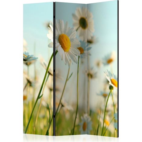 Paravento - Daisies - spring meadow [Room Dividers] - 135x172 (1/4)