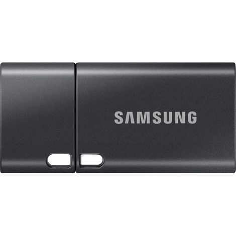 SAMSUNG Samsung MUF-512DA Lecteur USB Flash 512 Go USB Type-C 3.2 Gen 1 (3.1 Gen 1) Gris (MUF-512DA4/APC)