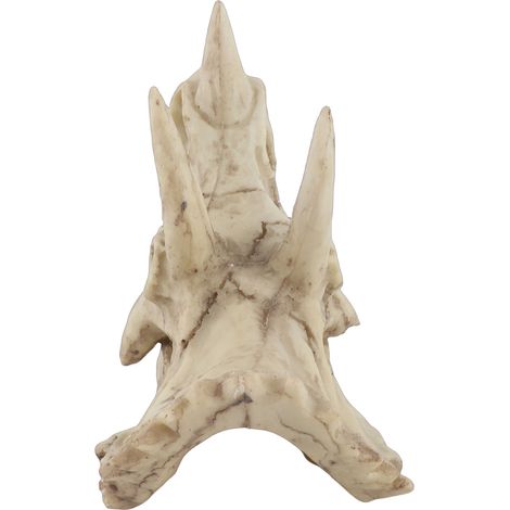 Réplique de crâne de tricératops dinosaure en résine, squelette simulé, déco bureau maison, artisanat (1/5)
