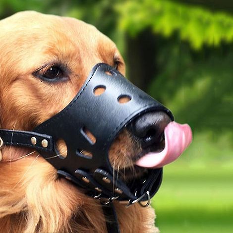 Muselière en cuir souple pour chiens, anti-morsure, sécurisée, réglable et respirante, pour chiens de petite et grande taille - Taille XS - Noir (1/3)