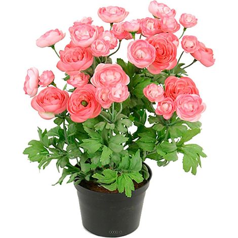 Renoncule factice en pot H28cm 32 fleurs lumineuses Rose soutenu - couleur: Rose soutenu