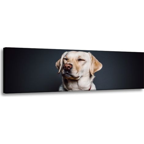 Lienzo impreso con la imagen de un labrador (135 x 45 cm).