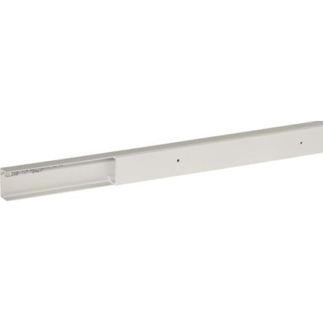 2-meter-weiß 25/1x17 b09606 . mini-kanal mit umlaufendem deckelperforierte basis mit löchern durchmesser 2,5 mm radstandabstand 125 mmmindestbestellmenge 2 und vielfaches von 2abmessungen:höhe:17mmbre