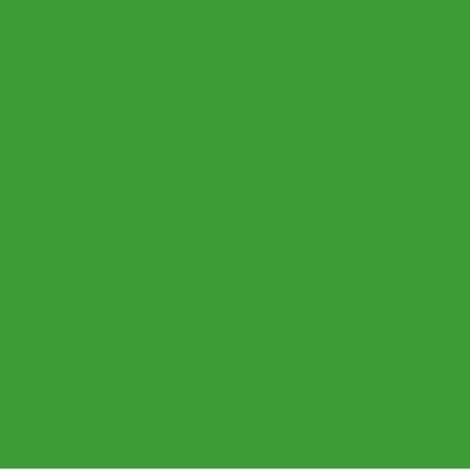 COLORANTE UNIVERS.VERDE PRATO 80ML SET 5 PEZZI - NESPOLI