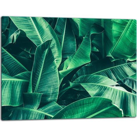 Planche à découper en verre 52x40 feuilles