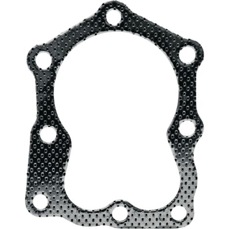 Guarnizione della testata del motore per Briggs 30270363