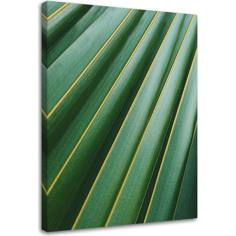 Tableau sur toile Palmier Feuilles Plante Vert 70x100 (1/5)
