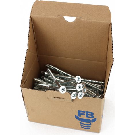 Boite de 100 Vis agglo tête fraisée Torx T30 zingué 6.0x120mm FP (1/3)