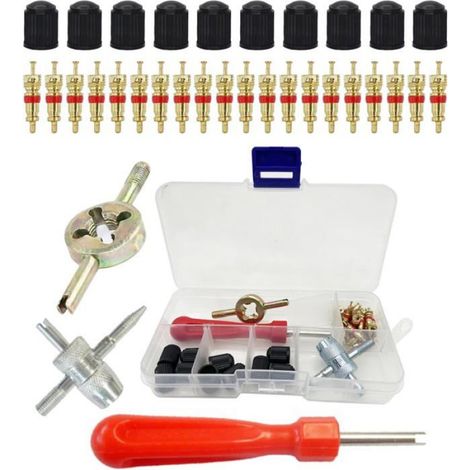 Kit Réparation Pneus - 33 Pièces - Outil Démontage Valve Vélo Moto Voiture Camion - Compatible Toutes Valves - Pour Réparation Crevaison et Réglage Pression (1/5)
