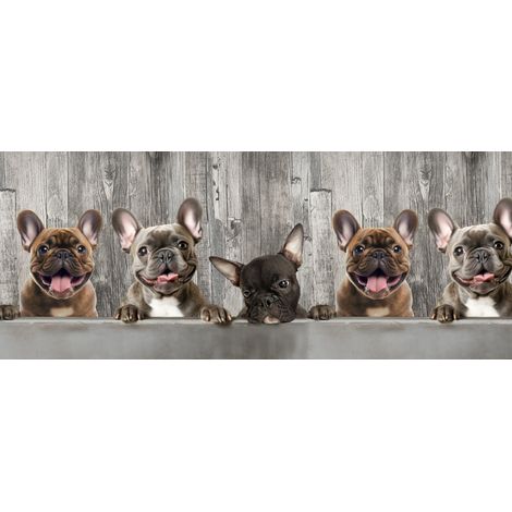 Tappeto Passatoia Cucina Antiscivolo Con Stampa Digitale Dis. Bulldog 497, misura50x50coloreBulldog