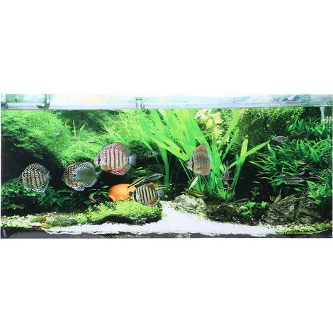 Autocollant adhésif en PVC pour fonds marins, petits poissons, plantes aquatiques, affiche de fond d'aquarium, décoration de réservoir, 61x30cm (1/5)
