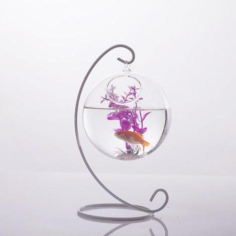 Mur De Verre De Forme De Boule De Fleurs Suspendus Bouteille D'usine De Vase Décor à La Maison 10cm (1/5)