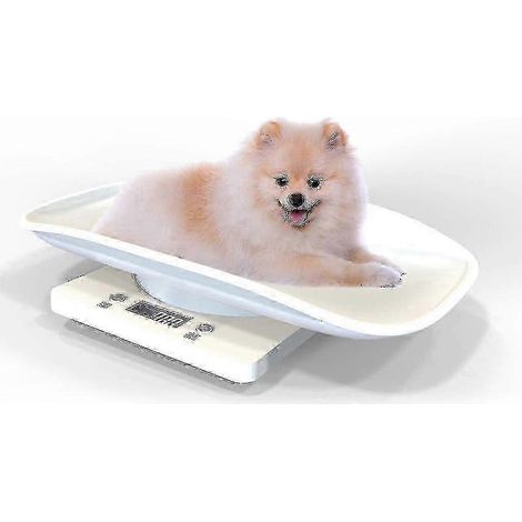 Filiyano-Balance numérique pour bébé ou animaux jusqu'à 10 kg, blanche, Stil-Bra (1/2)