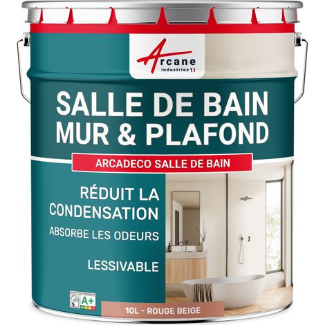 Peinture salle de bain, mur et plafond, condensation - 10 L Rouge beige - RAL 3012 - ARCANE INDUSTRIES (1/5)