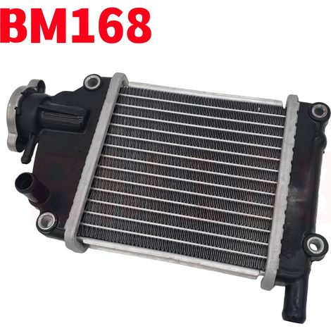 Passend für den Kühlerwassertank des Motorrads Suzuki Vario 110. (1/4)