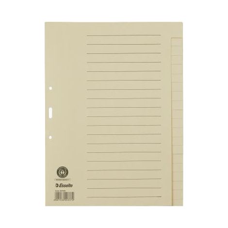 Esselte Register 621006 blanko DIN A4 20Bl. Papier chamois