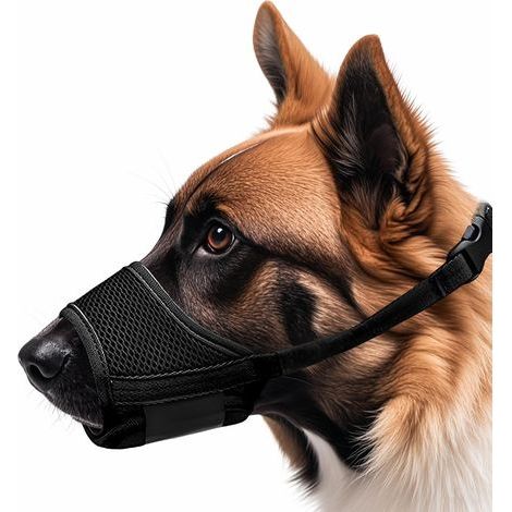 Museliere pour Chiens, Muselière en Nylon Réglable, Souple Boucle Maille Tissu, Respirante, empêche de Manger, de Mordre et de AboieMent, Noir XL (1/5)