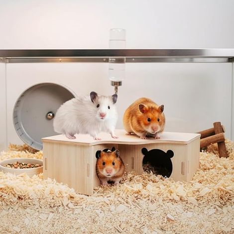 Wooden Hamster House Cabin and Corner Hideout for Hamster Gerbil Guinea Pig and Mouse Cage Decoration and Clean (1/2)