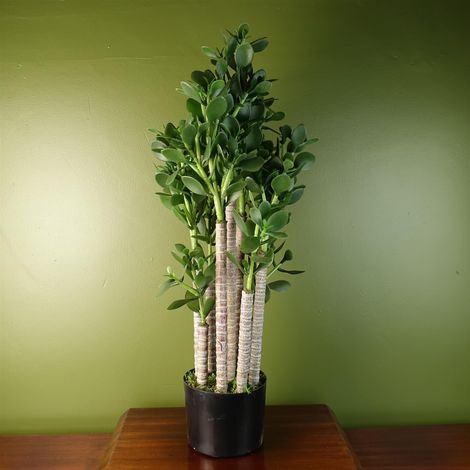 Artificial Deluxe 75cm Green Jade Plant (1/5)