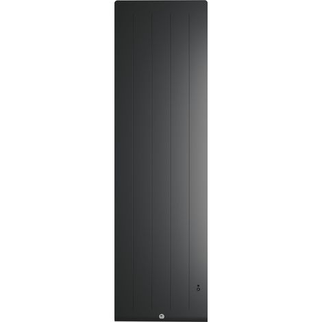 Radiateur electrique Fonte chaleur douce KENYA 5 Vertical 2000W Gris - THERMOR 414749 (1/5)