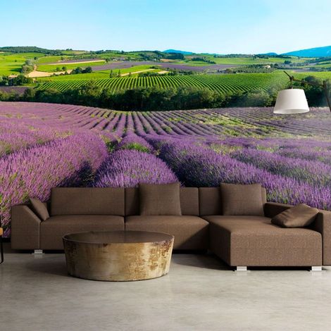 Papier peint champs de lavande - 250 x 193 cm (1/4)