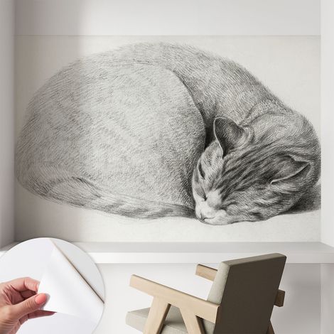 Papier peint adhésif avec colle pour décoration moderne de salon chambre à coucher cuisine et bureau Facile Chat recroquevillé 104x70 cm (1/5)