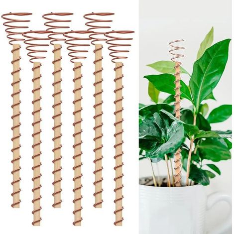 (A, Set) Antenne d'électroculture, tuteurs pour plantes électrocultureuses pour une meilleure croissance, tuteurs de jardin multifonctionnels en cuivre pour outils de jardinage (1/5)