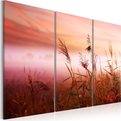 Tableau Imprimé "Pré Silencieux" 60 x 90 cm (1/2)