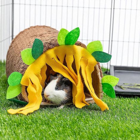 Petits animaux Tunnel Maison Cachette Grotte pour cochon d'Inde Tube de jeu pour hamster (1/4)