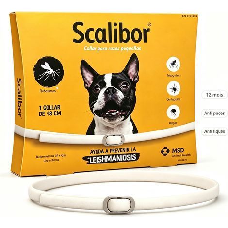 Collare per cani antipulci, zecche e zanzare da 65 cm – Protegge da pulci, zecche e zanzare – Fino a 12 mesi di protezione – Per cani di taglia grande – Regolabile e resistente all'acqua (1/4)