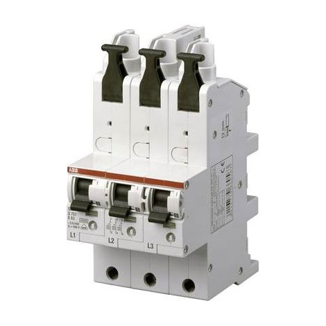 ABB S751/3-E63 Interruptor Automático 63A Robusto