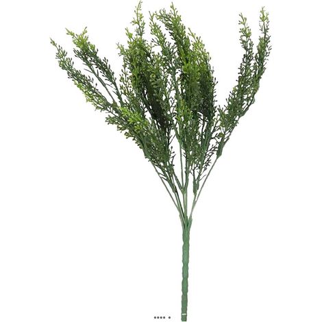 Setaire Isolepsis factice H35cm superbe buisson très dense en piquet (1/3)