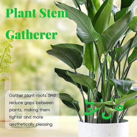 Cadre pliable réutilisable pour tiges de plantes, outils de jardinage rouge-- (1/5)